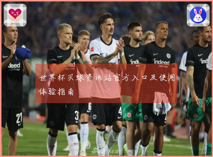 世界杯买球资讯站官方入口及使用体验指南