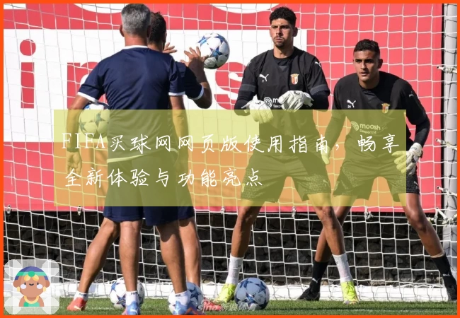 FIFA买球网网页版使用指南，畅享全新体验与功能亮点