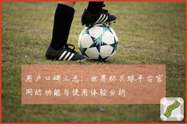 用户口碑汇总：世界杯买球平台官网的功能与使用体验分析