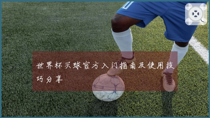 世界杯买球官方入门指南及使用技巧分享