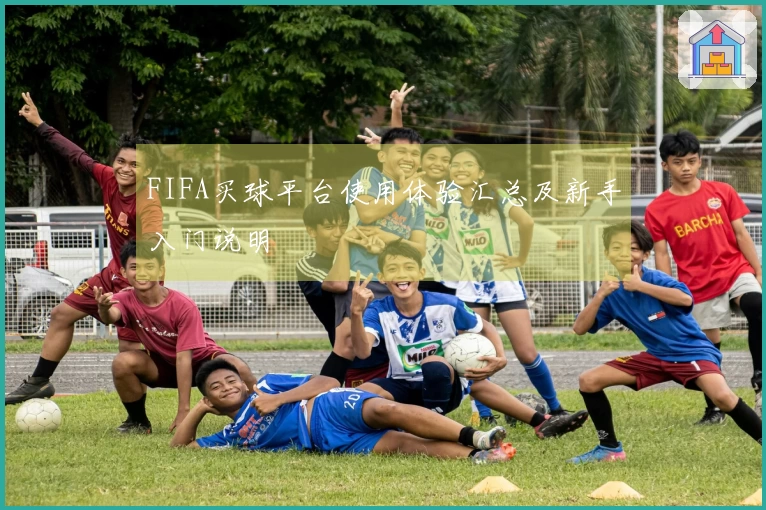 FIFA买球平台使用体验汇总及新手入门说明