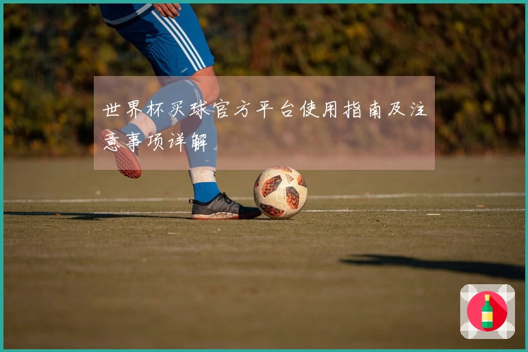 世界杯买球官方平台使用指南及注意事项详解