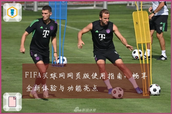 FIFA买球网网页版使用指南，畅享全新体验与功能亮点