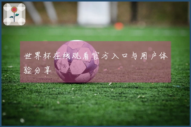 世界杯在线观看官方入口与用户体验分享