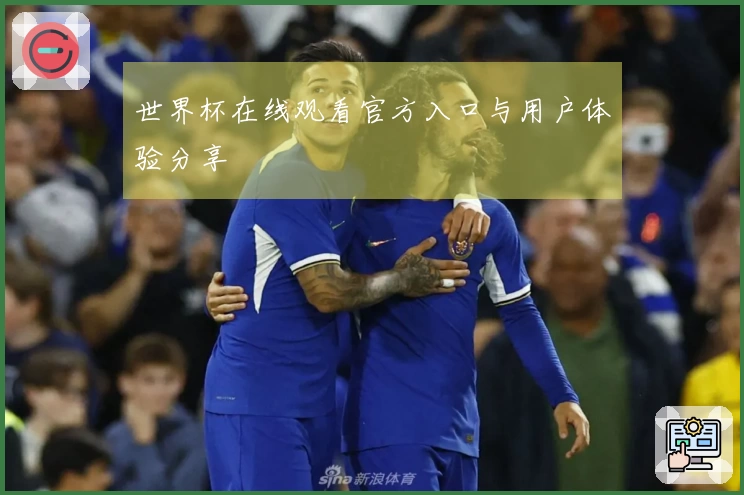 世界杯在线观看官方入口与用户体验分享