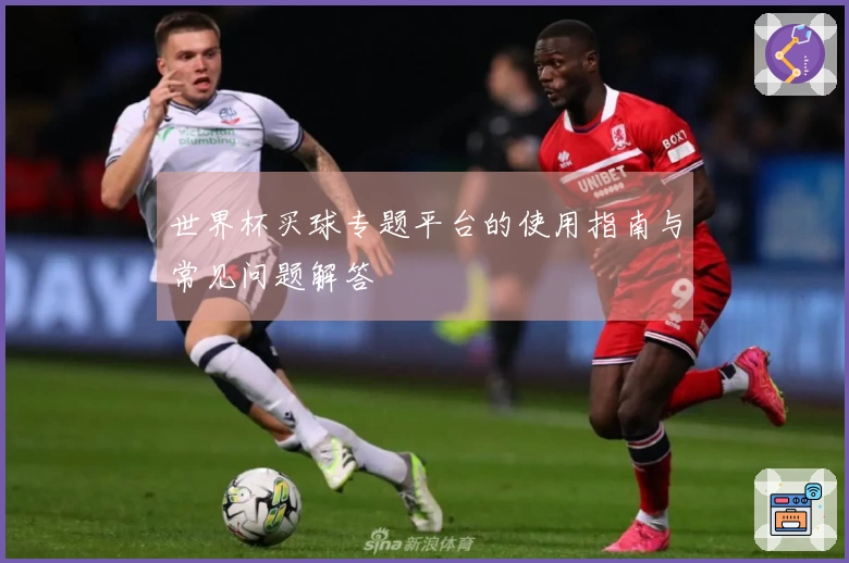 世界杯买球专题平台的使用指南与常见问题解答