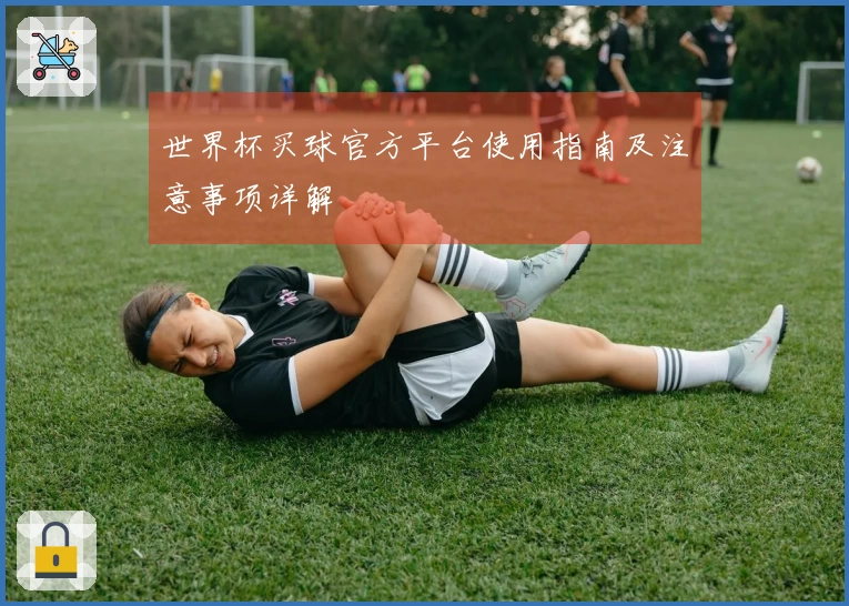 世界杯买球官方平台使用指南及注意事项详解